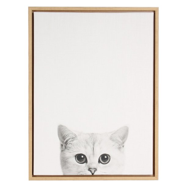 Kitten Framed Canvas Wall Art, Small