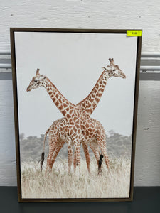 Two Giraffes Framed Canvas Art, Medium