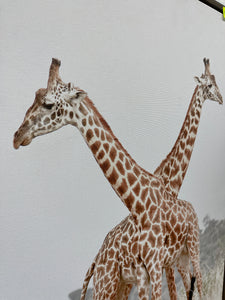 Two Giraffes Framed Canvas Art, Medium