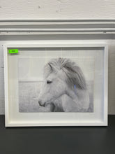 Load image into Gallery viewer, Framed Glass White Horse Wall Art, Medium
