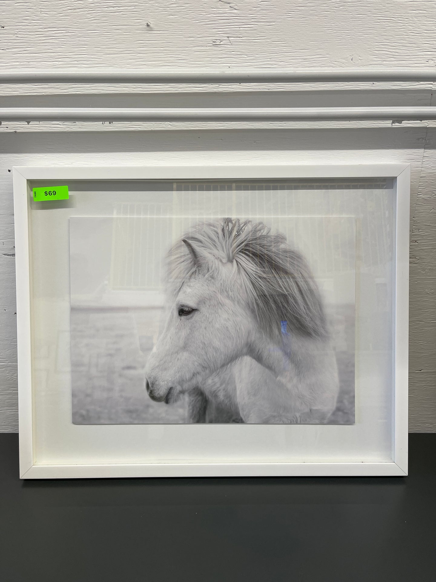 Framed Glass White Horse Wall Art, Medium