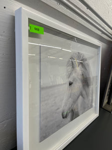 Framed Glass White Horse Wall Art, Medium