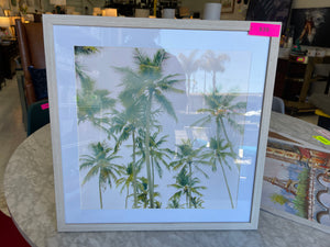 Palm Trees Wall Art 20x20 Frame